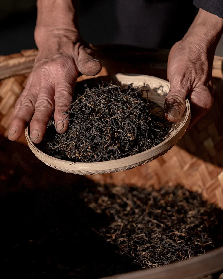 Yunnan Gold
